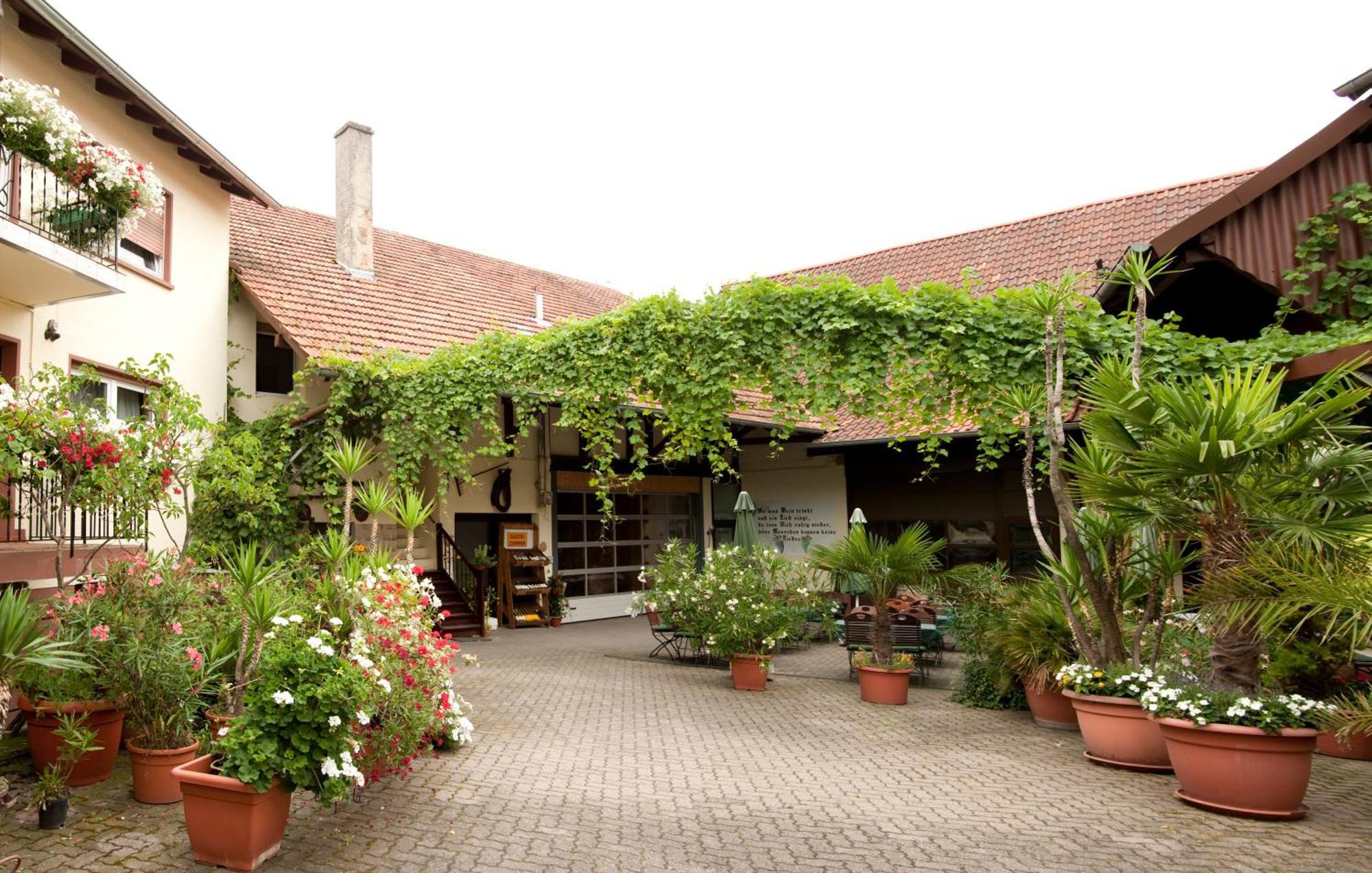 Weingut Und Gastehaus Vongerichten Oberhausen  Exterior foto